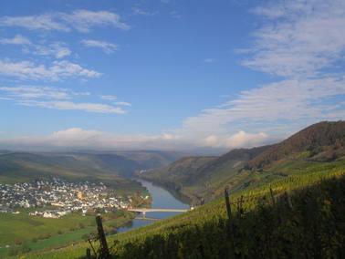 Moselblick2