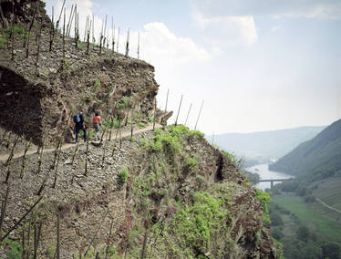 Wandern